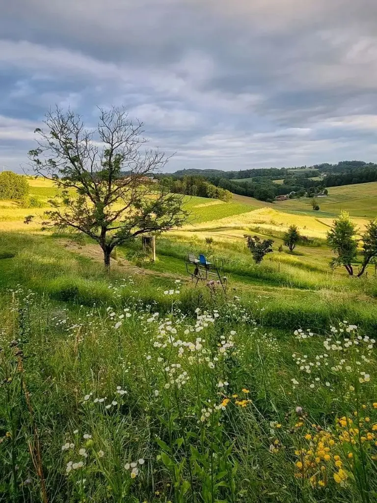 Hügellandschaft beim Schreibretreat im Burgenland.