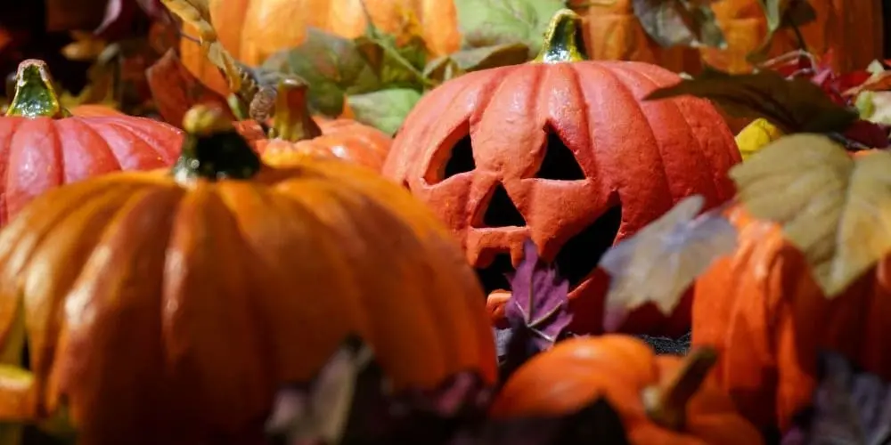 Bild zum Blogbeitrag über Gruselgeschichten, zeigt geschnitzen Halloweenkürbis.